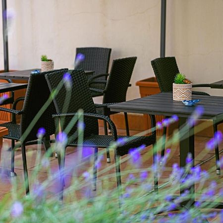 Alghero Noon Phòng bức ảnh